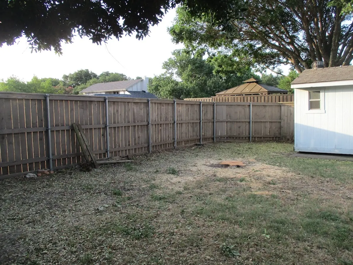 Cleared yard after professional tree removal in Pleasant Hill