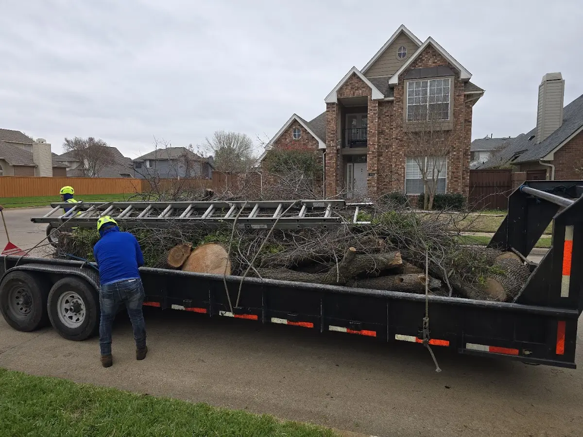 Expert Tree Pest Control with proper safety equipment in Pleasant Hill